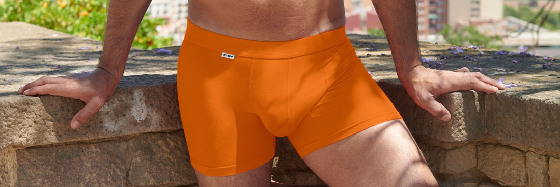 Charcoal Bamboo Underwear - Men's Boxers – 'ohe underwear