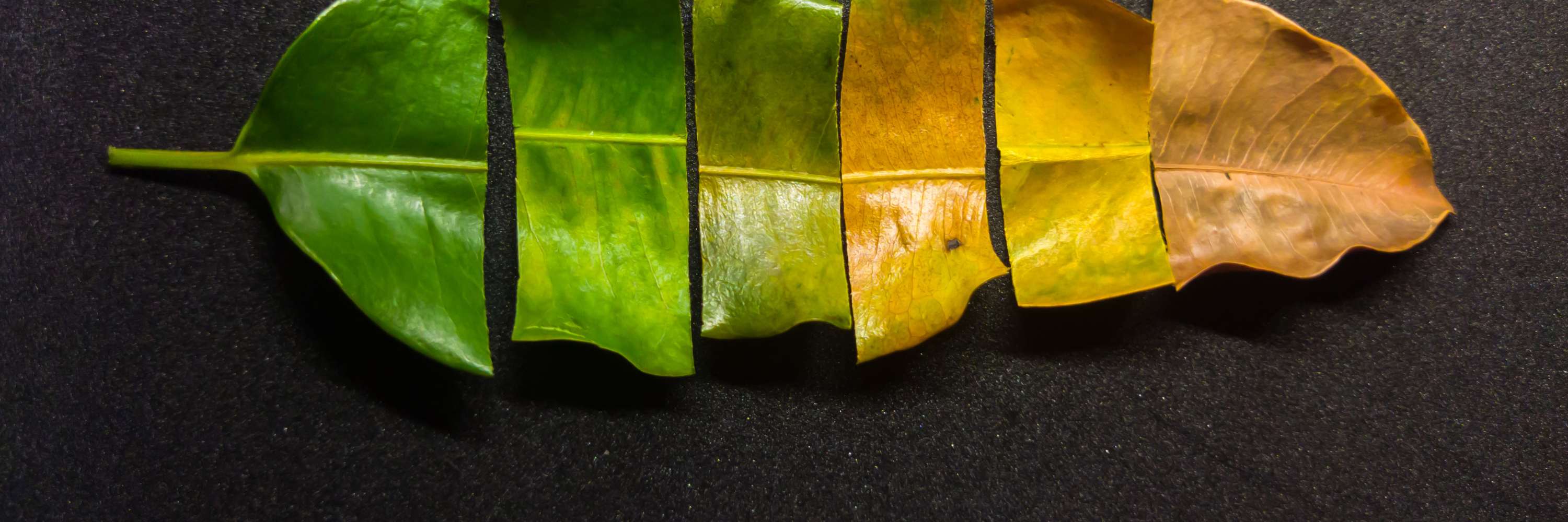 Long Term Side Effects Of Not Wearing Underwear Male: Complete Guide & Key Details