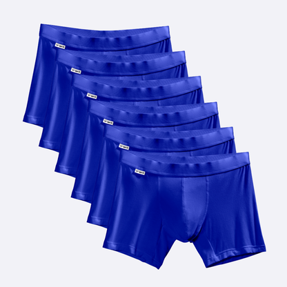 6-Pack Surf the Web Boxer Briefs