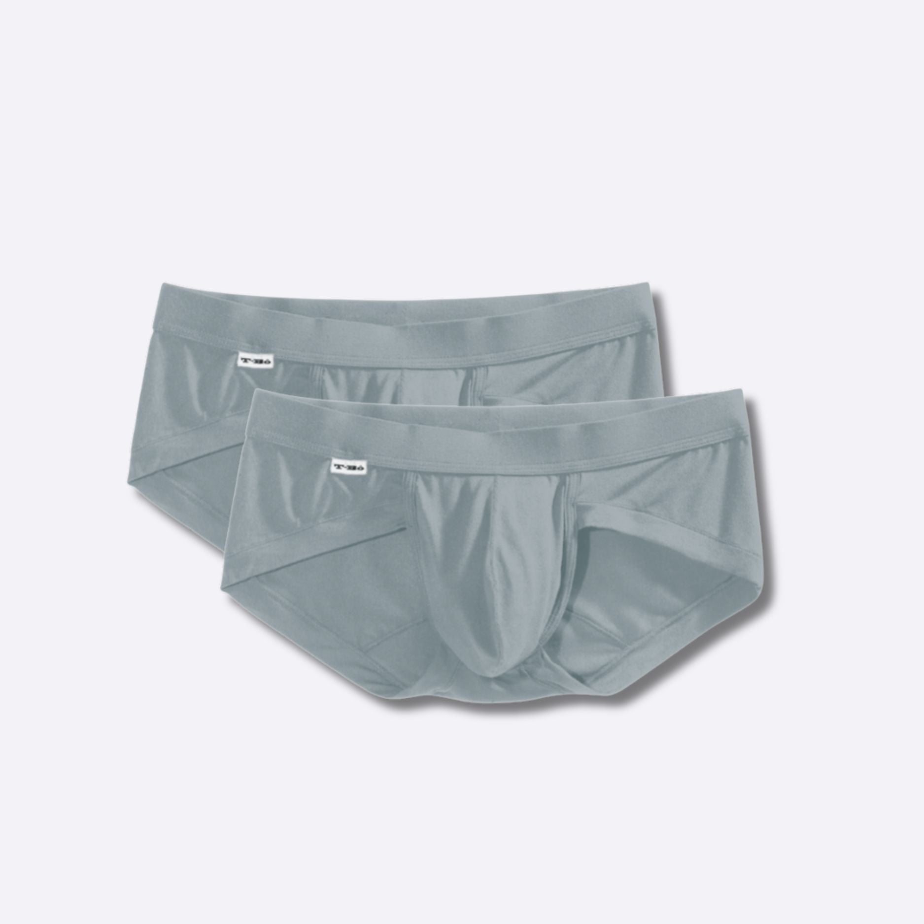 The Blue Gray Brief 2-Pack