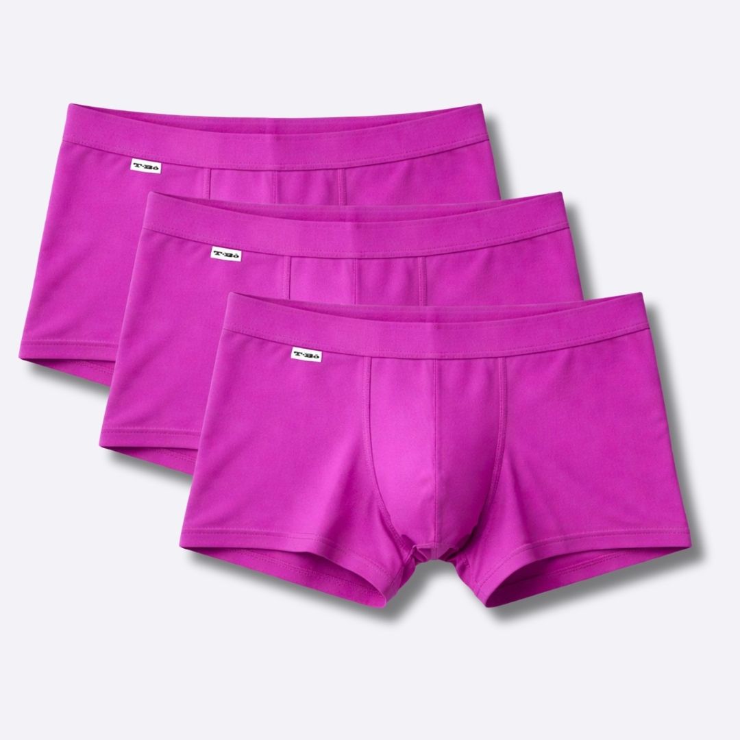 The Elegant Purple Trunk 3-Pack