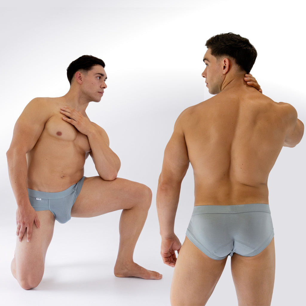 The Blue Gray Brief 2-Pack