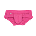The Pink Brief