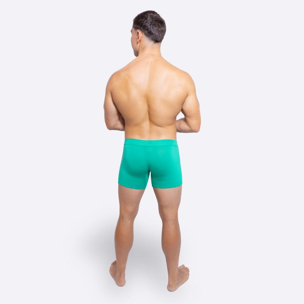 Green boxer shorts back studio