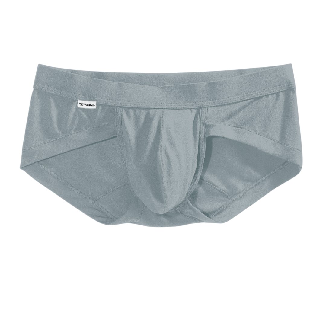 The Blue Gray Brief