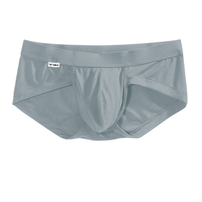 The Blue Gray Brief