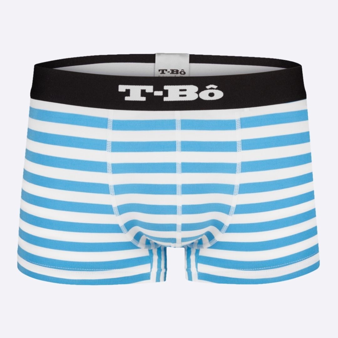 The Ballsy Norse Blue Stripes Trunk