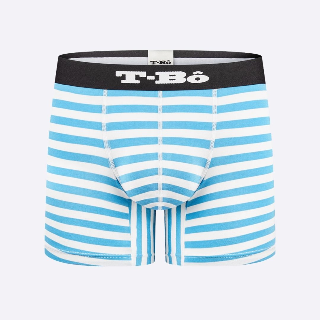 The Ballsy Norse Blue Stripes Boxer Brief